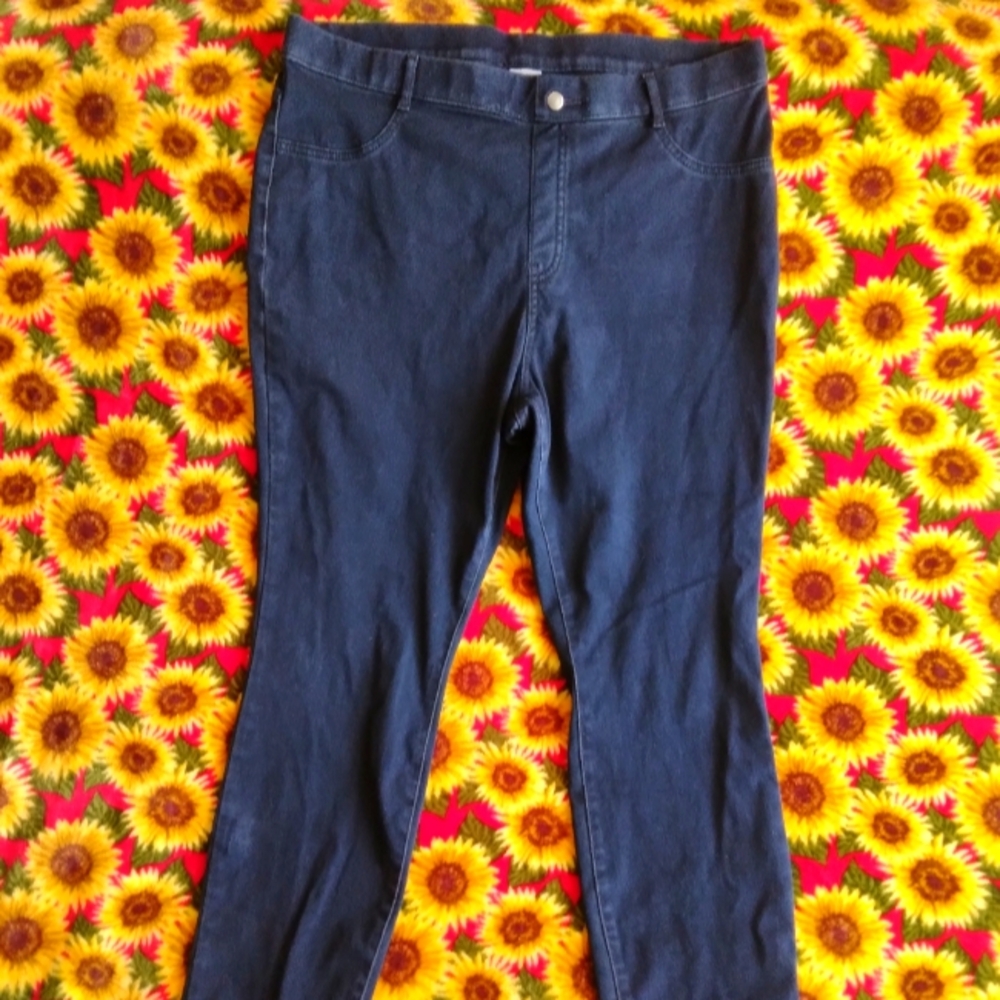 Time&Tru Blue Stretch Jegging Size XL